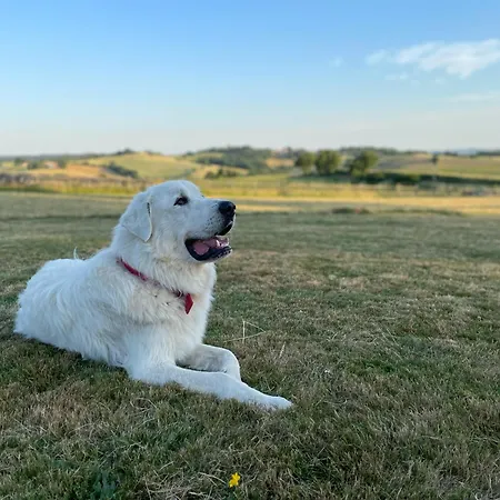 In French Tuscany Сasa de vacaciones *
