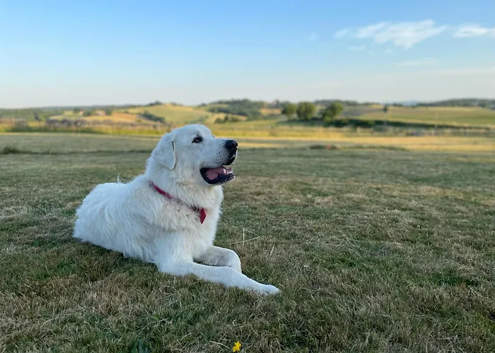 In French Tuscany 別荘 *