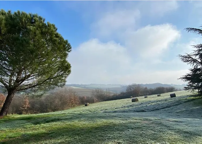 In French Tuscany 別荘 *